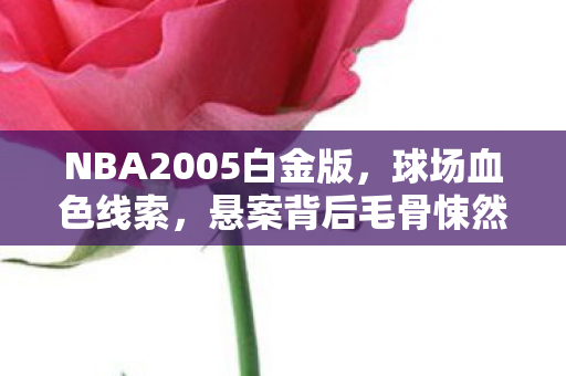 NBA2005白金版,球场血色线索,悬案背后毛骨悚然的真相 NBA2005白金版,球场血色线索,悬案背后毛骨悚然的真相