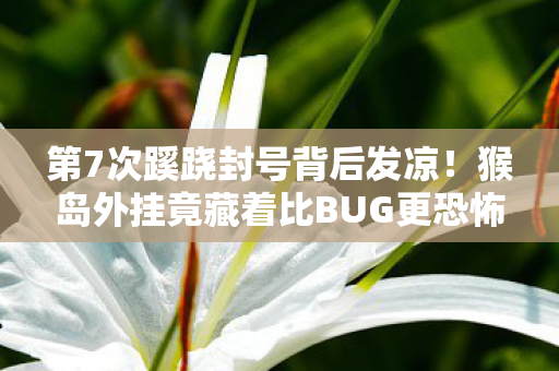 第7次蹊跷封号背后发凉!猴岛外挂竟藏着比BUG更恐怖的真相 第7次蹊跷封号背后发凉!猴岛外挂竟藏着比BUG更恐怖的真相