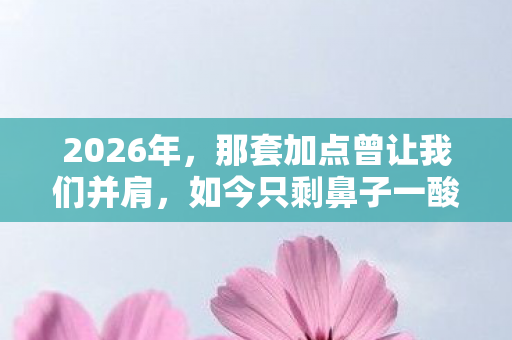 2026年，那套加点曾让我们并肩，如今只剩鼻子一酸的回忆