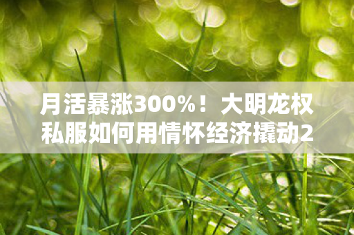 月活暴涨300%!大明龙权私服如何用情怀经济撬动2027年游戏圈最大财富密码? 月活暴涨300%!大明龙权私服如何用情怀经济撬动2027年游戏圈最大财富密码?