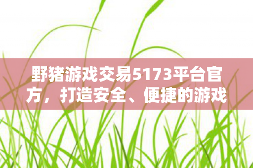 野猪游戏交易5173平台官方，打造安全、便捷的游戏交易环境，5173平台，打造安全便捷的游戏交易环境