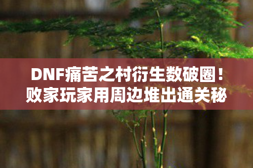 DNF痛苦之村衍生数破圈!败家玩家用周边堆出通关秘籍,结局意想不到! DNF痛苦之村衍生数破圈!败家玩家用周边堆出通关秘籍,结局意想不到!