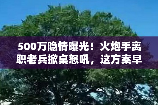 500万隐情曝光!火炮手离职老兵掀桌怒吼,这方案早该枪毙,吓一跳! 500万隐情曝光!火炮手离职老兵掀桌怒吼,这方案早该枪毙,吓一跳!