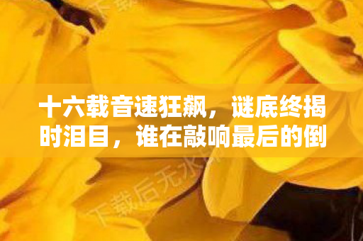 十六载音速狂飙,谜底终揭时泪目,谁在敲响最后的倒计时? 十六载音速狂飙,谜底终揭时泪目,谁在敲响最后的倒计时?