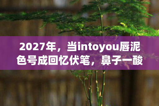 2027年，当intoyou唇泥色号成回忆伏笔，鼻子一酸谁还在等？