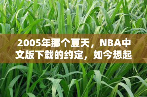 2005年那个夏天,NBA中文版下载的约定,如今想起鼻子一酸 2005年那个夏天,NBA中文版下载的约定,如今想起鼻子一酸