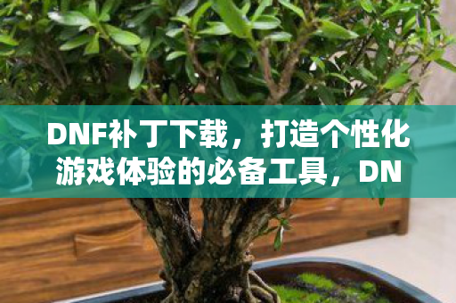DNF补丁下载,打造个性化游戏体验的必备工具,DNF补丁,打造个性化游戏体验的必备工具 DNF补丁下载,打造个性化游戏体验的必备工具,DNF补丁,打造个性化游戏体验的必备工具