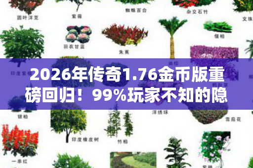 2026年传奇1.76金币版重磅回归！99%玩家不知的隐藏彩蛋？