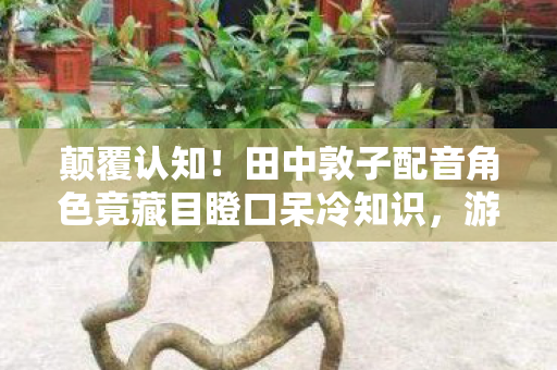 颠覆认知!田中敦子配音角色竟藏目瞪口呆冷知识,游戏迷必看! 颠覆认知!田中敦子配音角色竟藏目瞪口呆冷知识,游戏迷必看!