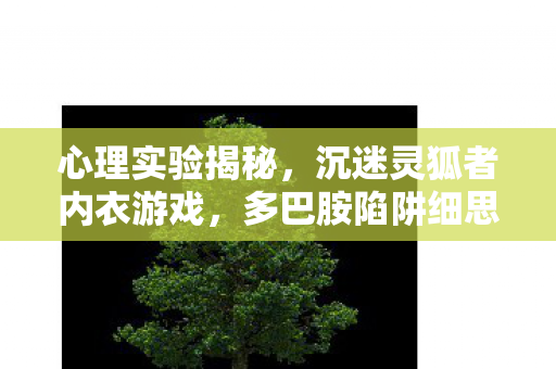 心理实验揭秘,沉迷灵狐者内衣游戏,多巴胺陷阱细思极恐 心理实验揭秘,沉迷灵狐者内衣游戏,多巴胺陷阱细思极恐
