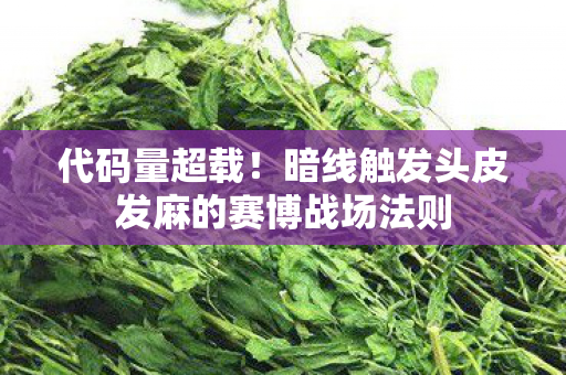 代码量超载!暗线触发头皮发麻的赛博战场法则 代码量超载!暗线触发头皮发麻的赛博战场法则
