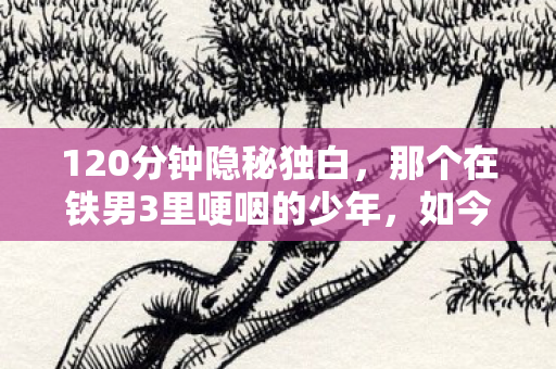 那个在铁男3里哽咽的少年图片