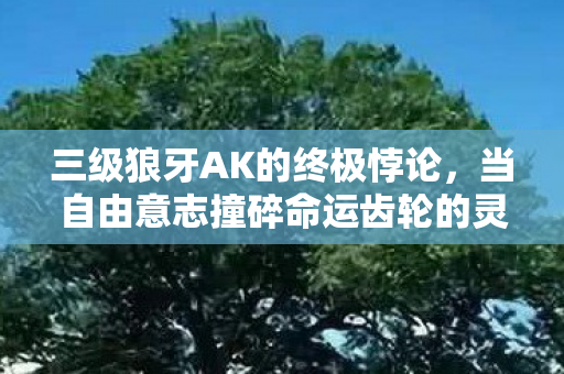 三级狼牙AK的终极悖论，当自由意志撞碎命运齿轮的灵魂震颤
