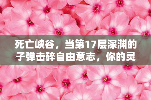 死亡峡谷,当第17层深渊的子弹击碎自由意志,你的灵魂震颤了吗? 死亡峡谷,当第17层深渊的子弹击碎自由意志,你的灵魂震颤了吗?