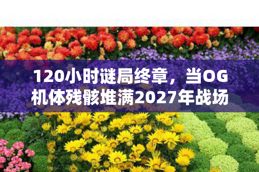 120小时谜局终章,当OG机体残骸堆满2027年战场,泪目真相竟是…… 120小时谜局终章,当OG机体残骸堆满2027年战场,泪目真相竟是……