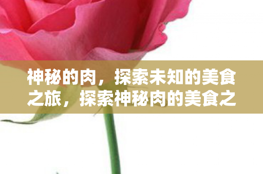 神秘的肉,探索未知的美食之旅,探索神秘肉的美食之旅 神秘的肉,探索未知的美食之旅,探索神秘肉的美食之旅