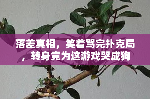 落差真相，笑着骂完扑克局，转身竟为这游戏哭成狗