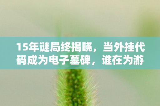 15年谜局终揭晓，当外挂代码成为电子墓碑，谁在为游戏续命流泪？