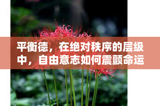 平衡德，在绝对秩序的层级中，自由意志如何震颤命运的悖论？
