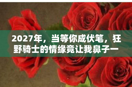 2027年,当等你成伏笔,狂野骑士的情缘竟让我鼻子一酸 2027年,当等你成伏笔,狂野骑士的情缘竟让我鼻子一酸