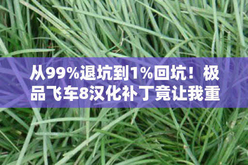 从99%退坑到1%回坑!极品飞车8汉化补丁竟让我重燃2030年速度魂! 从99%退坑到1%回坑!极品飞车8汉化补丁竟让我重燃2030年速度魂!