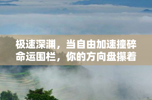 极速深渊，当自由加速撞碎命运围栏，你的方向盘攥着谁的灵魂？