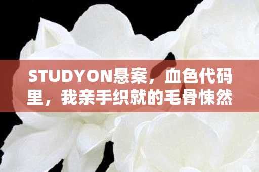 STUDYON悬案,血色代码里,我亲手织就的毛骨悚然轮回 STUDYON悬案,血色代码里,我亲手织就的毛骨悚然轮回