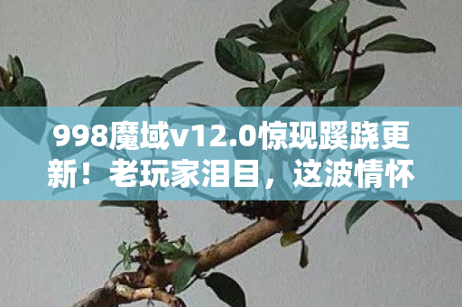 998魔域v12.0惊现蹊跷更新!老玩家泪目,这波情怀杀太狠了 998魔域v12.0惊现蹊跷更新!老玩家泪目,这波情怀杀太狠了