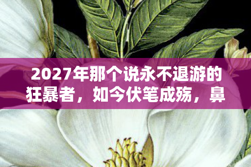 2027年那个说永不退游的狂暴者,如今伏笔成殇,鼻子一酸泪满裳 2027年那个说永不退游的狂暴者,如今伏笔成殇,鼻子一酸泪满裳