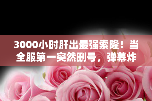 3000小时肝出最强索隆!当全服第一突然删号,弹幕炸出20万条泪目真相 3000小时肝出最强索隆!当全服第一突然删号,弹幕炸出20万条泪目真相