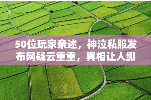50位玩家亲述,神泣私服发布网疑云重重,真相让人绷不住! 50位玩家亲述,神泣私服发布网疑云重重,真相让人绷不住!