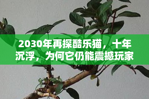2030年再探酷乐猫，十年沉浮，为何它仍能震撼玩家好奇心？
