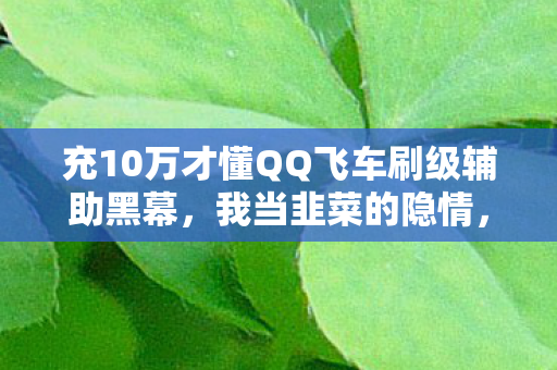 充10万才懂QQ飞车刷级辅助黑幕，我当韭菜的隐情，吓你一跳！