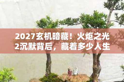 2027玄机暗藏！火炬之光2沉默背后，藏着多少人生密码？