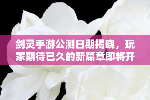 剑灵手游公测日期揭晓,玩家期待已久的新篇章即将开启,剑灵手游公测日期揭晓,新篇章即将开启 剑灵手游公测日期揭晓,玩家期待已久的新篇章即将开启,剑灵手游公测日期揭晓,新篇章即将开启
