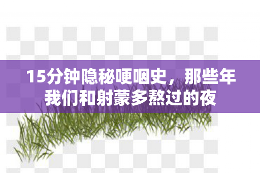 15分钟隐秘哽咽史,那些年我们和射蒙多熬过的夜 15分钟隐秘哽咽史,那些年我们和射蒙多熬过的夜