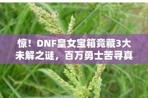 惊!DNF皇女宝箱竟藏3大未解之谜,百万勇士苦寻真相! 惊!DNF皇女宝箱竟藏3大未解之谜,百万勇士苦寻真相!