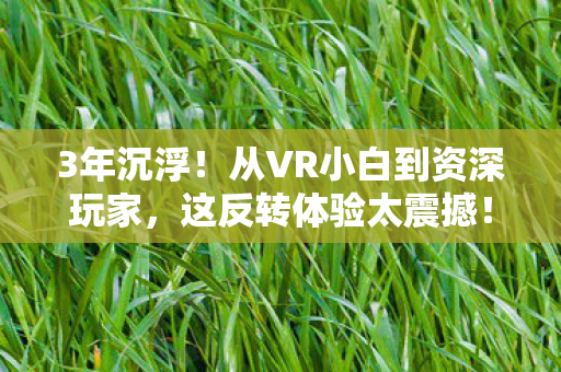 3年沉浮!从VR小白到资深玩家,这反转体验太震撼! 3年沉浮!从VR小白到资深玩家,这反转体验太震撼!