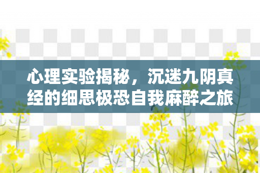 心理实验揭秘，沉迷九阴真经的细思极恐自我麻醉之旅
