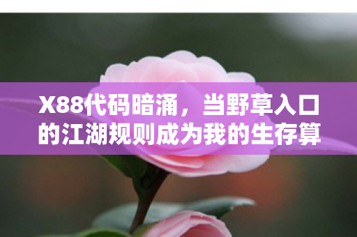 X88代码暗涌,当野草入口的江湖规则成为我的生存算法 X88代码暗涌,当野草入口的江湖规则成为我的生存算法