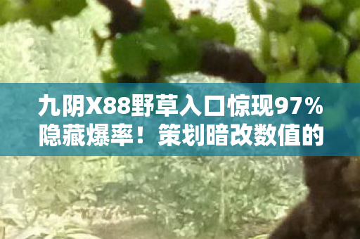 九阴X88野草入口惊现97%隐藏爆率!策划暗改数值的致命逻辑曝光 九阴X88野草入口惊现97%隐藏爆率!策划暗改数值的致命逻辑曝光