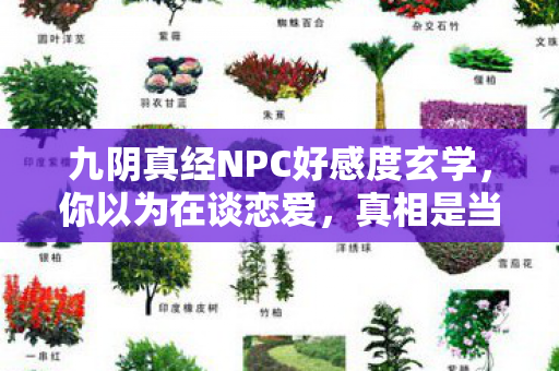 九阴真经NPC好感度玄学,你以为在谈恋爱,真相是当舔狗还倒贴钱!笑着笑着就哭了 九阴真经NPC好感度玄学,你以为在谈恋爱,真相是当舔狗还倒贴钱!笑着笑着就哭了