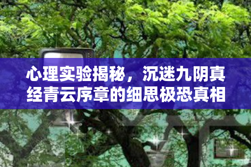 心理实验揭秘,沉迷九阴真经青云序章的细思极恐真相 心理实验揭秘,沉迷九阴真经青云序章的细思极恐真相
