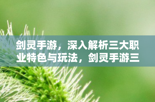剑灵手游,深入解析三大职业特色与玩法,剑灵手游三大职业特色与玩法全解析 剑灵手游,深入解析三大职业特色与玩法,剑灵手游三大职业特色与玩法全解析