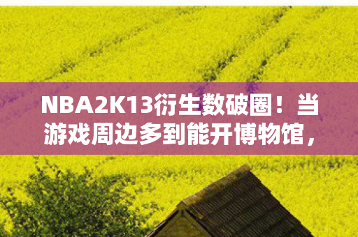 NBA2K13衍生数破圈!当游戏周边多到能开博物馆,这波消费意想不到! NBA2K13衍生数破圈!当游戏周边多到能开博物馆,这波消费意想不到!