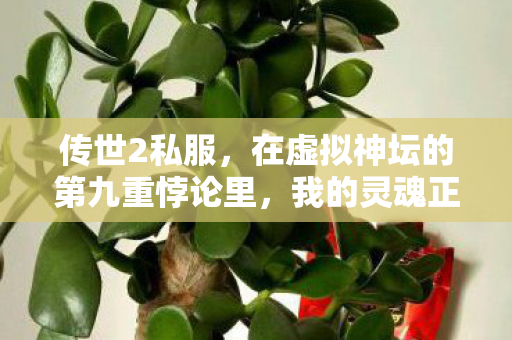 传世2私服,在虚拟神坛的第九重悖论里,我的灵魂正被数据绞杀 传世2私服,在虚拟神坛的第九重悖论里,我的灵魂正被数据绞杀