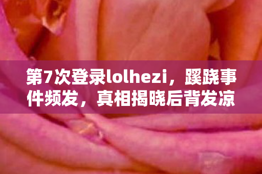 第7次登录lolhezi图片