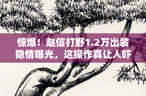 惊爆!赵信打野1.2万出装隐情曝光,这操作真让人吓一跳! 惊爆!赵信打野1.2万出装隐情曝光,这操作真让人吓一跳!