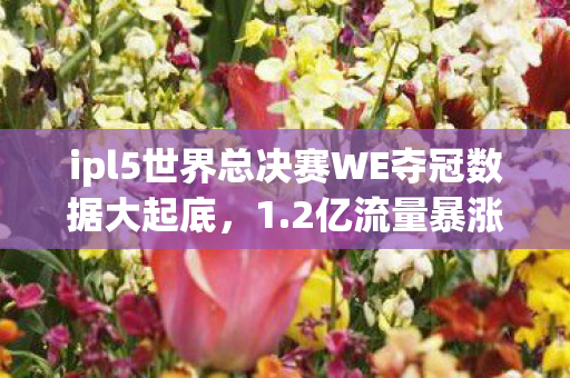 ipl5世界总决赛WE夺冠数据大起底,1.2亿流量暴涨背后,竟藏着电竞圈最暴利的冷门赛道? ipl5世界总决赛WE夺冠数据大起底,1.2亿流量暴涨背后,竟藏着电竞圈最暴利的冷门赛道?