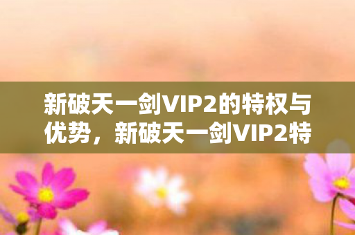 新破天一剑VIP2的特权与优势,新破天一剑VIP2特权与优势解析 新破天一剑VIP2的特权与优势,新破天一剑VIP2特权与优势解析